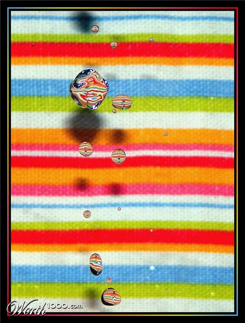 Photography by fujiellena