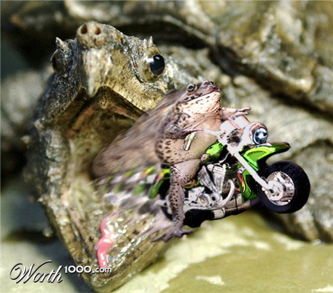 Photoshop Design by Younts