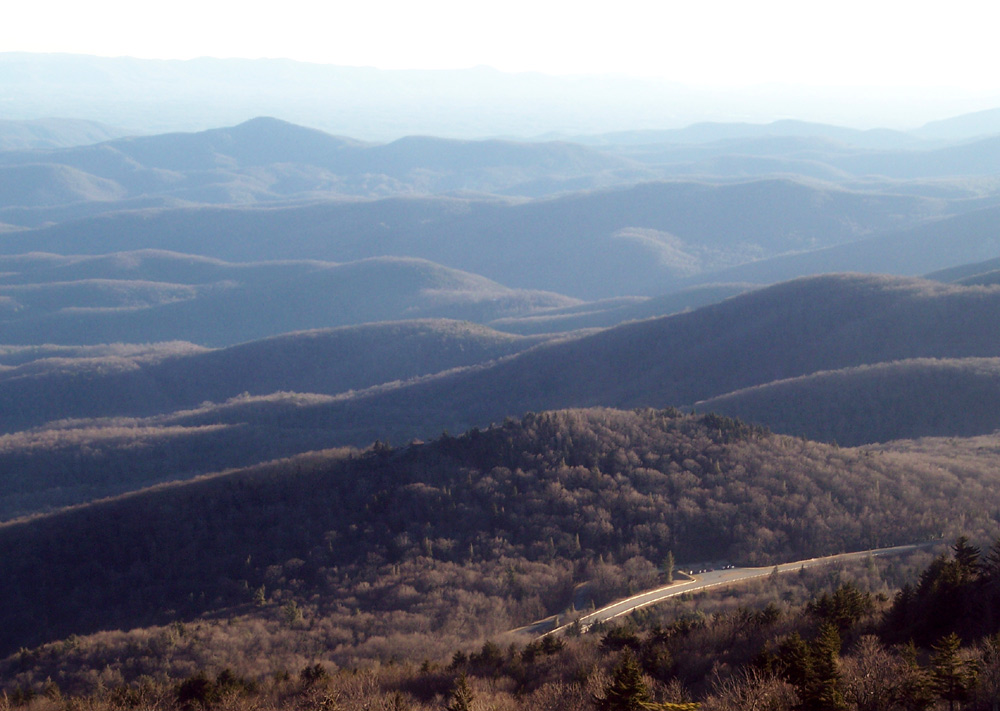 Photography by mindy3051 for DesignCrowd (Community Contests) | Design #8956014