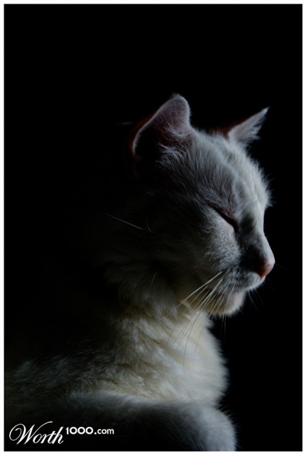 Photography by JuzzyDee