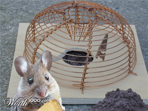 Photoshop Design by bicyclewilli