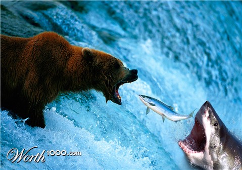 Photoshop Design by GALBENUSH