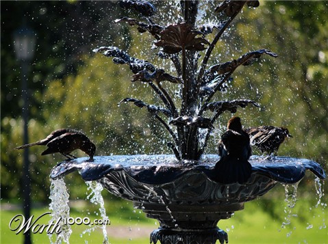 Photography by poochu