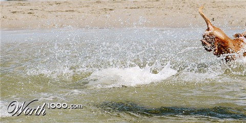 Photography by shamikiely