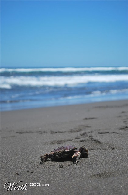 Photography by rerazo