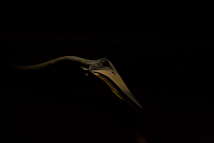 Photography by poc0loco for DesignCrowd (Community Contests) | Design #8952535