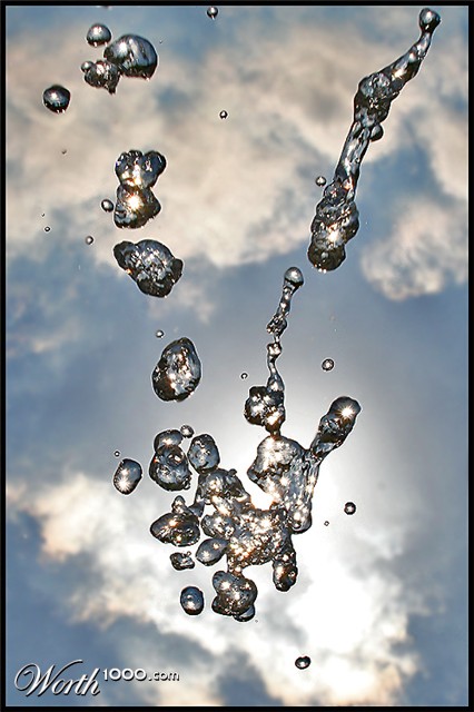 Photography by Jesusito
