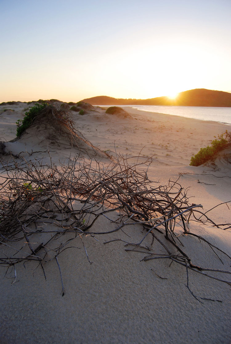 Photographie par matstake pour DesignCrowd (Community Contests) | Design #8953986