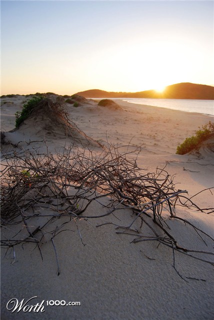 Photography by matstake