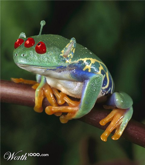 Photoshop Design by JANIELLE