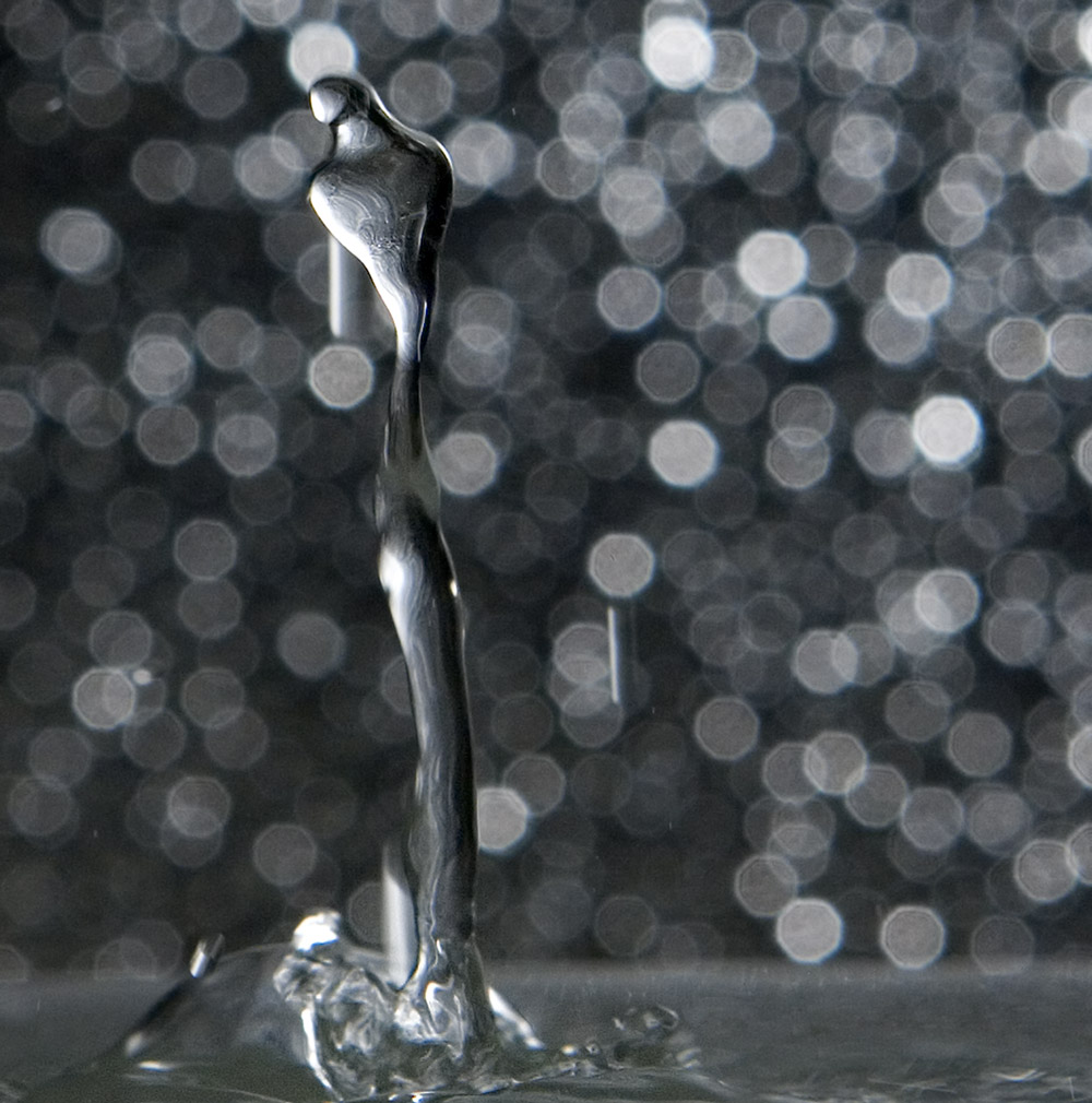 Photography by swingingjohnsonv2 for DesignCrowd (Community Contests) | Design #8948297