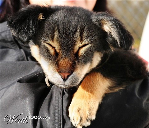 Photoshop Design by Funchop