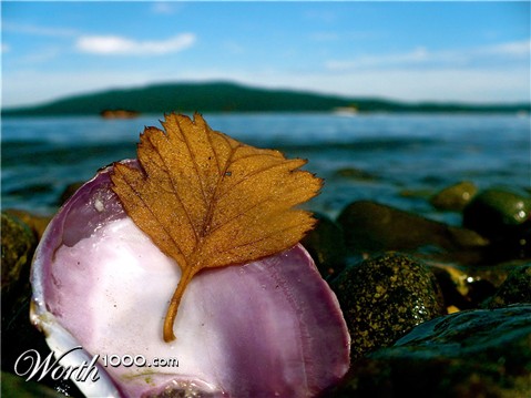 Photography by lazysail0r