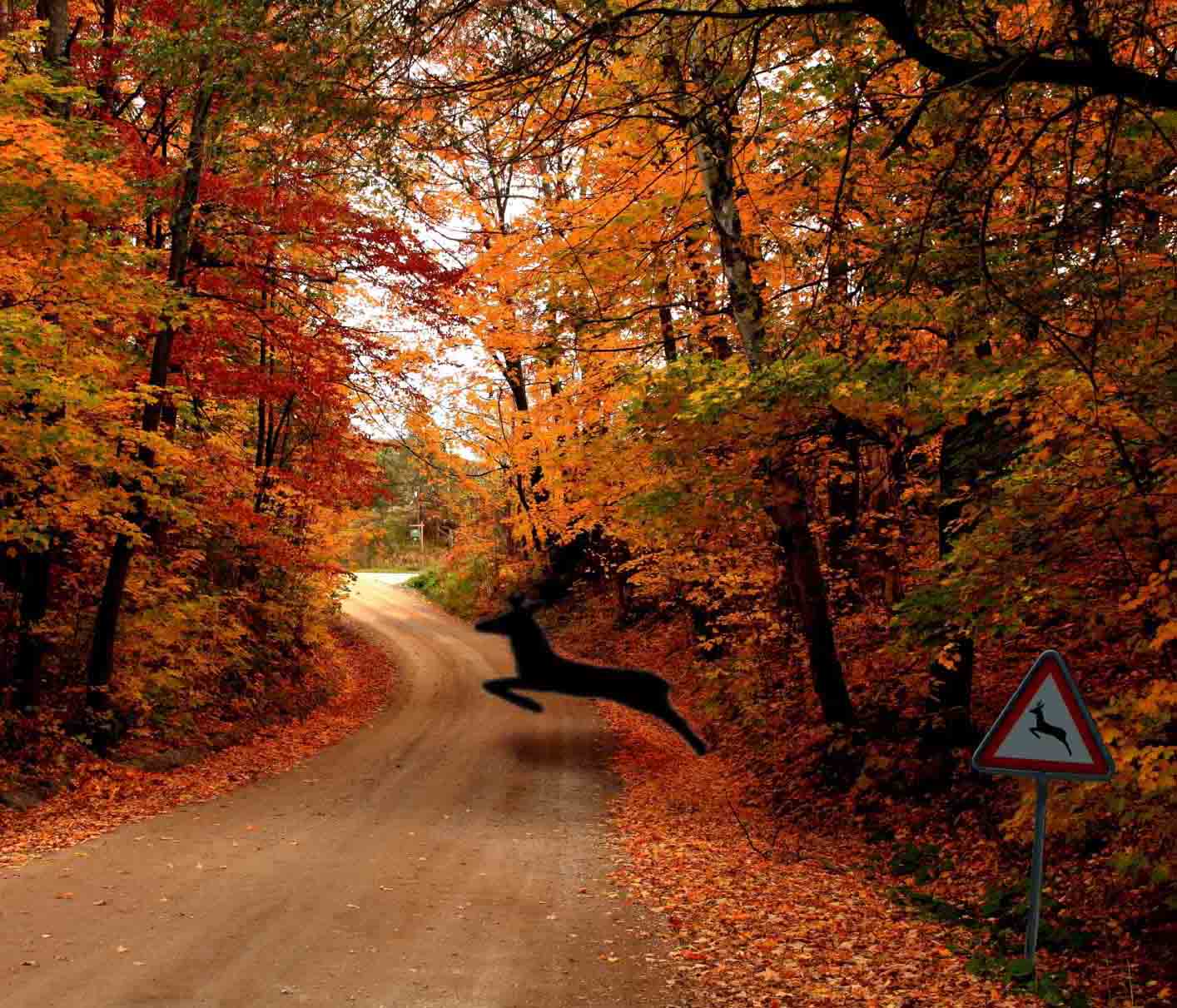 Photoshop Design by Dave0585 for DesignCrowd (Community Contests) | Design #8947852