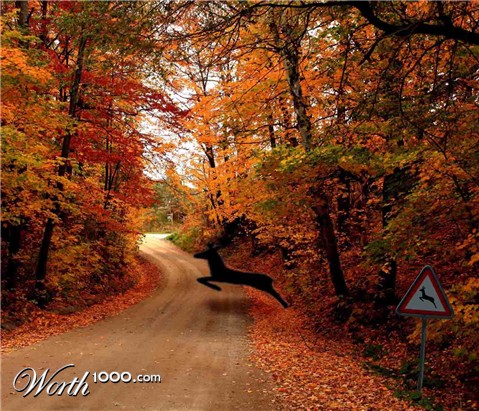 Photoshop Design by Dave0585