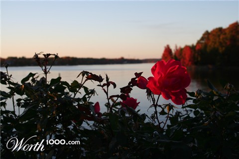 Photography by nctaffy