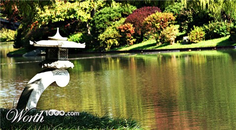 Photography by thravens