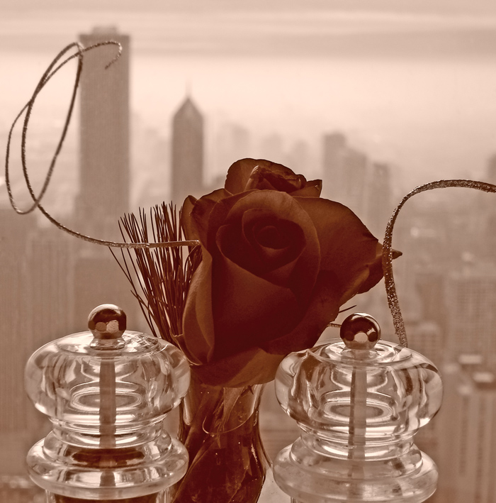 Photography by mangoslushy for DesignCrowd (Community Contests) | Design #8954030