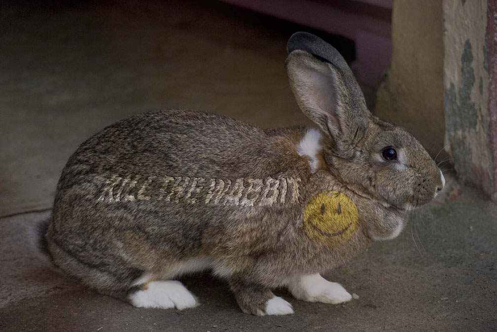 Photoshop Design by NuckleBerry6 for DesignCrowd (Community Contests) | Design #8953792