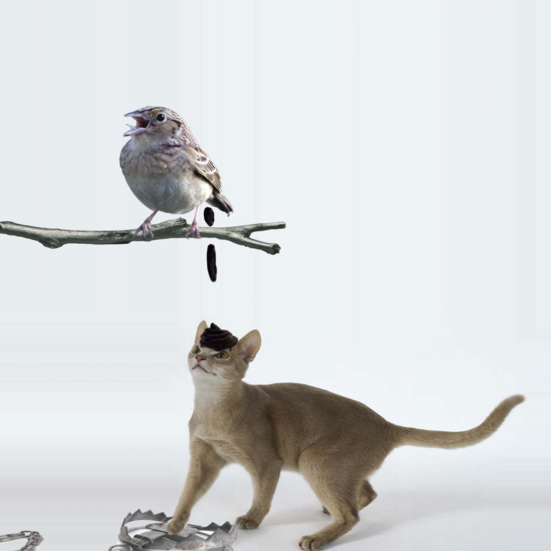 Photoshop-Design von sdbp15 für DesignCrowd (Community Contests) | Design #8953802