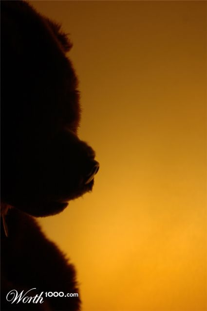 Photography by Acrawf
