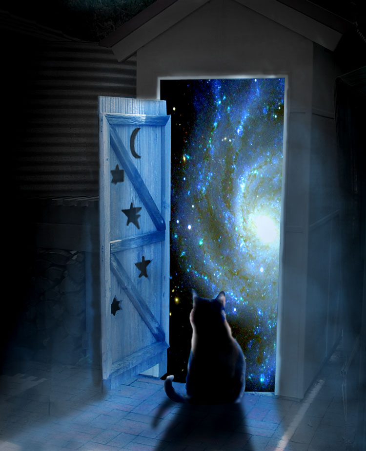 Photoshop Design by ilovekarate for DesignCrowd (Community Contests) | Design #8952706