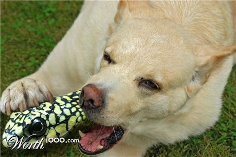 Photoshop Design by Aicha52