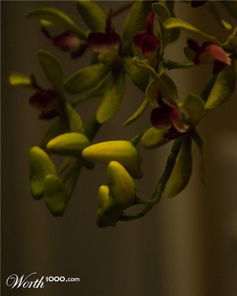 Photography by cshutt