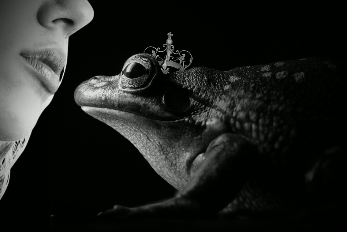 Photoshop Design by GTAPEX for DesignCrowd (Community Contests) | Design #8949181