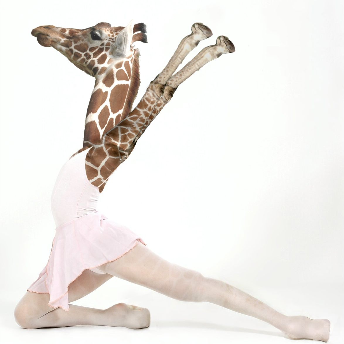 Photoshop Design by riddle for DesignCrowd (Community Contests) | Design #8953764