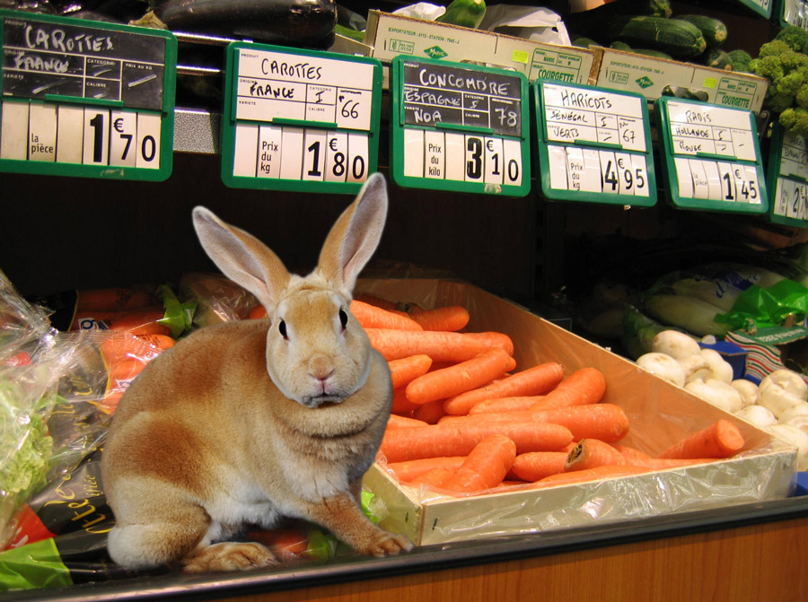 Photoshop Design by snakebit for DesignCrowd (Community Contests) | Design #8953832