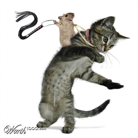 Photoshop Design by Rungue