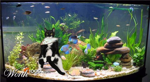 Photoshop Design by Rubees