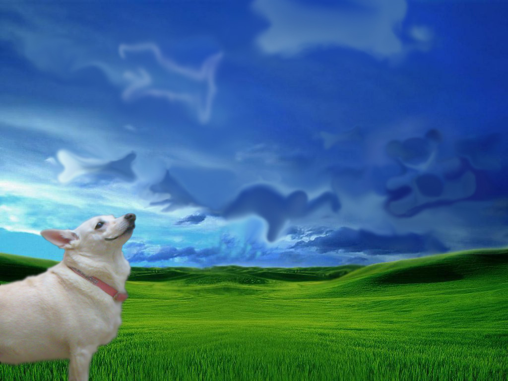 Photoshop Design by Arathorn for DesignCrowd (Community Contests) | Design #8953825