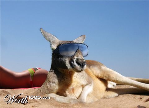 Photoshop Design by AGItated