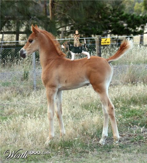 Photoshop Design by TeMo80