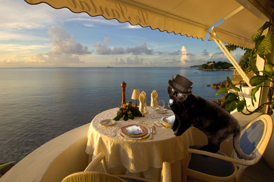 Photoshop Design by DrRobot for DesignCrowd (Community Contests) | Design #8953905