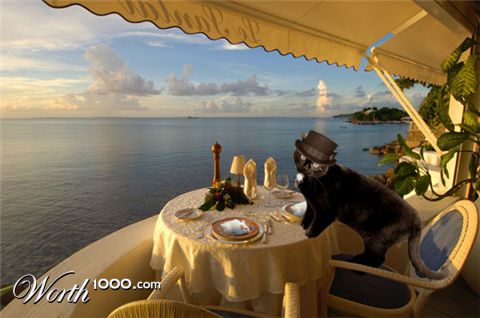 Photoshop Design by DrRobot