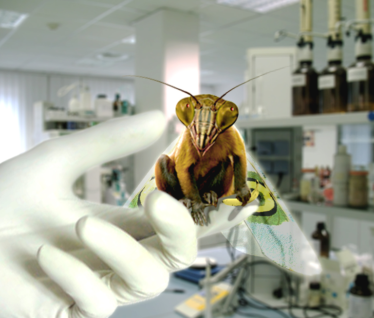 Photoshop Design by DexterMurphy for DesignCrowd (Community Contests) | Design #8948873