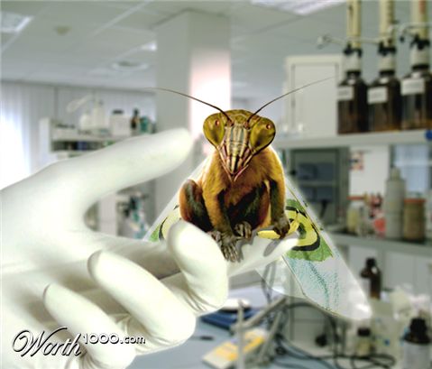 Photoshop Design by DexterMurphy