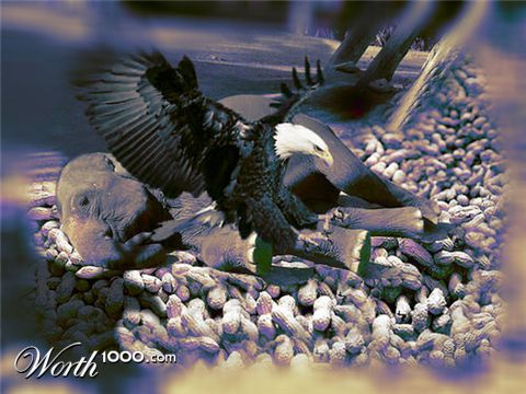 Photoshop Design by mfegoiste