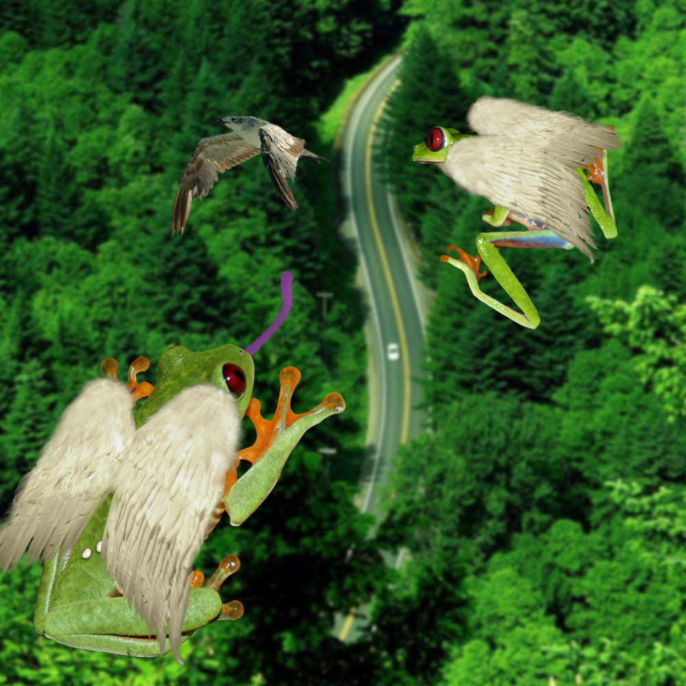 Photoshop Design by cns025 for DesignCrowd (Community Contests) | Design #8953915