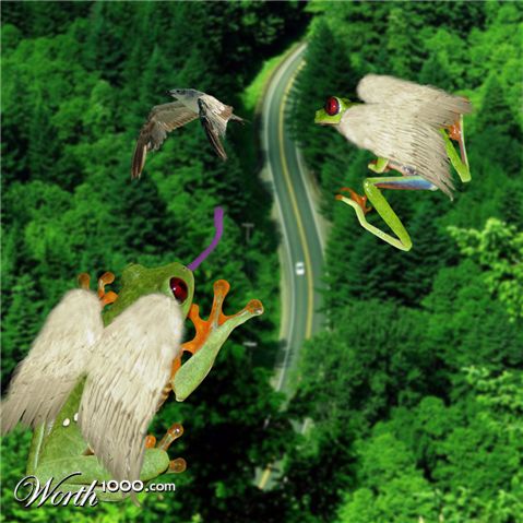 Photoshop Design by cns025