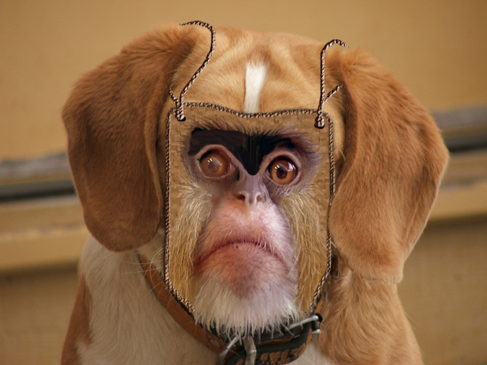 Photoshop-Design von kwize53 für DesignCrowd (Community Contests) | Design #8948810