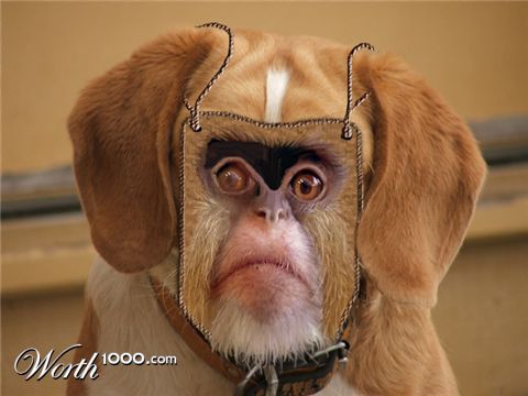 Photoshop Design by kwize53