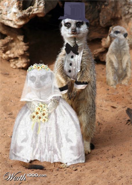 Photoshop Design by kwize53