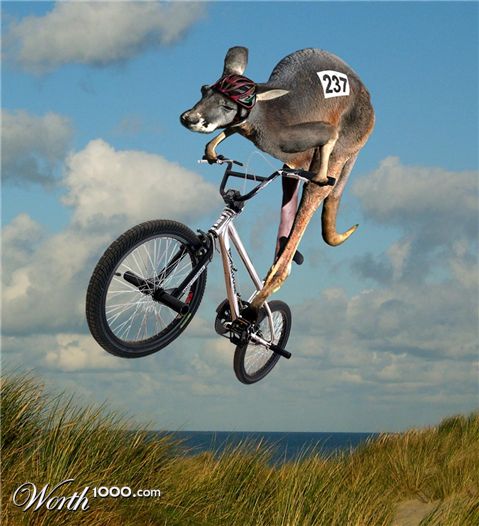 Photoshop Design by castiza