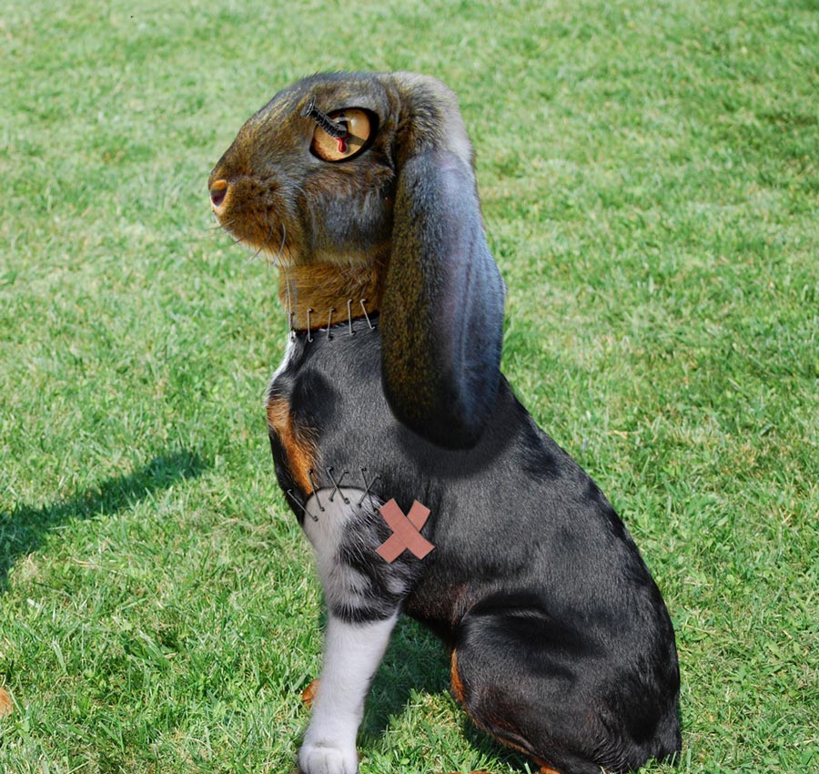 Diseño de Photoshop por gear01d para DesignCrowd (Community Contests) | Diseño #8948842