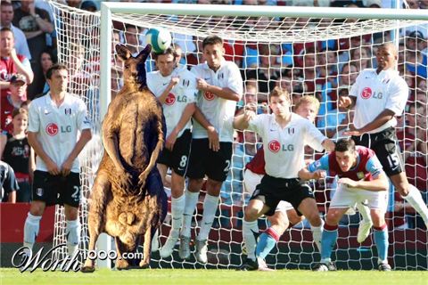 Photoshop Design by hotdesert1