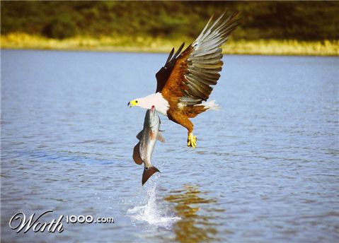 Photoshop Design by Tinkuuu